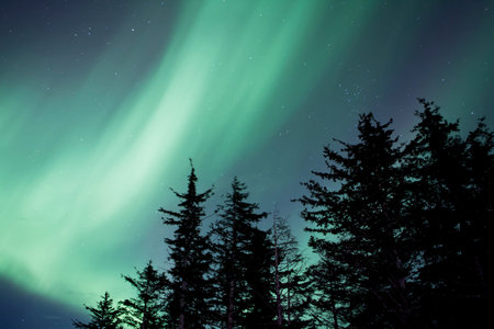 星とのアラスカ森オーロラの輝き の写真素材 画像素材 Image