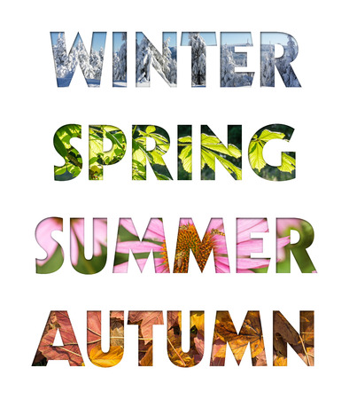 new seasons flyer