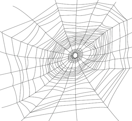 手描き蜘蛛の巣 のイラスト素材 ベクタ Image 手描き蜘蛛の巣 のイラスト素材 ベクタ Image