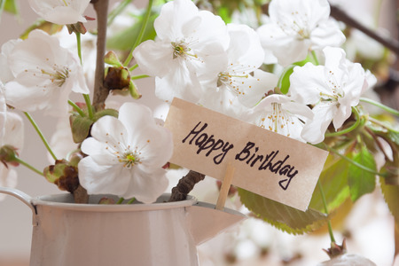 happy birthday greeting card white flowers on a background stock photo picture and royalty free image image 27847014 - Happy Birthday Cards Flowers happy birthday greeting card white flowers on a background stock photo picture and royalty free image image 27847014 - Happy Birthday Cards Flowers