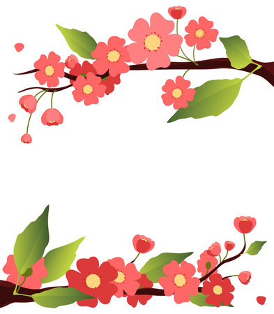 Sakura Stock Photo