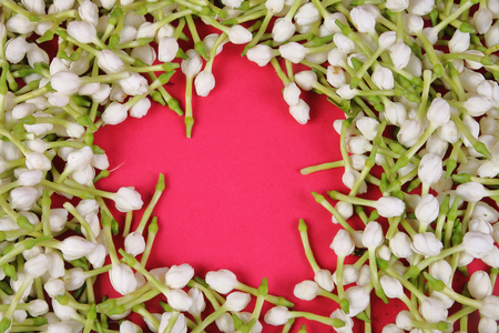 Jasmine flower with Heart symbol