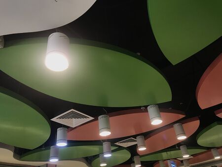 Decorative Leaves Style Gypsum False Ceiling Interiors With Emulsion Painted And Ceiling Lamp White Tube Lights For An Shopping Mall Commercial Building Architecture Ceiling Views