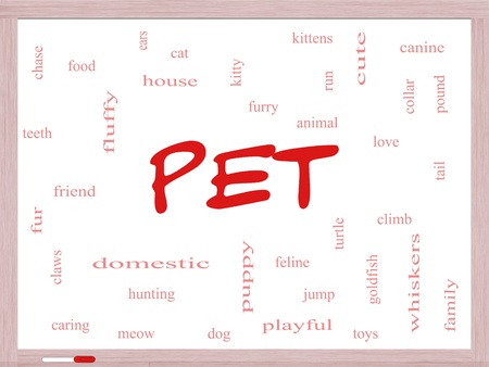 pet word