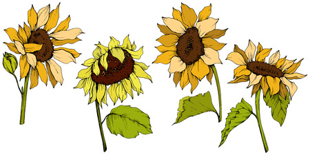 Free Free 81 Flower Clipart Sunflower Svg Black And White SVG PNG EPS DXF File