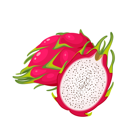 光の背景に隔離された全体とスライスドラゴンフルーツ 手描きベクトルイラスト のイラスト素材 ベクタ Image 光の背景に隔離された全体とスライスドラゴンフルーツ 手描きベクトルイラスト のイラスト素材 ベクタ Image