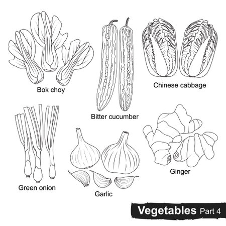 10 022 Chinese Herb のイラスト素材 ベクター 123rf 10 022 Chinese Herb のイラスト素材 ベクター 123rf