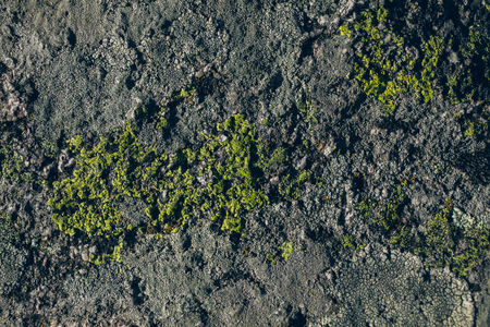 岩と苔のテクスチャと背景 コケに覆われた石造りの背景 抽象的なテクスチャとデザイナーの背景 コケに覆われた石のテクスチャ コケと岩のクローズ アップ ビュー の写真素材 画像素材 Image 岩と苔のテクスチャと背景 コケに覆われた石造りの背景 抽象的なテクスチャとデザイナーの背景 コケに覆われた石のテクスチャ コケと岩のクローズ アップ ビュー の写真素材 画像素材 Image