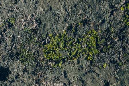 岩と苔のテクスチャと背景 コケに覆われた石造りの背景 抽象的なテクスチャとデザイナーの背景 コケに覆われた石のテクスチャ コケと岩のクローズ アップ ビュー の写真素材 画像素材 Image 岩と苔のテクスチャと背景 コケに覆われた石造りの背景 抽象的なテクスチャとデザイナーの背景 コケに覆われた石のテクスチャ コケと岩のクローズ アップ ビュー の写真素材 画像素材 Image