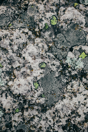 岩と苔のテクスチャと背景 コケに覆われた石造りの背景 抽象的なテクスチャとデザイナーの背景 コケに覆われた石のテクスチャ コケと岩のクローズ アップ ビュー の写真素材 画像素材 Image 岩と苔のテクスチャと背景 コケに覆われた石造りの背景 抽象的なテクスチャとデザイナーの背景 コケに覆われた石のテクスチャ コケと岩のクローズ アップ ビュー の写真素材 画像素材 Image