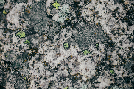 岩と苔のテクスチャと背景 コケに覆われた石造りの背景 抽象的なテクスチャとデザイナーの背景 コケに覆われた石のテクスチャ コケと岩のクローズ アップ ビュー の写真素材 画像素材 Image 岩と苔のテクスチャと背景 コケに覆われた石造りの背景 抽象的なテクスチャとデザイナーの背景 コケに覆われた石のテクスチャ コケと岩のクローズ アップ ビュー の写真素材 画像素材 Image