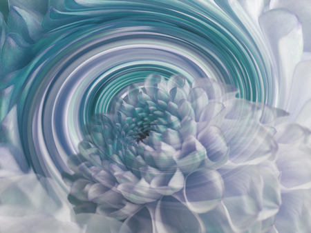 turquoise flower background
