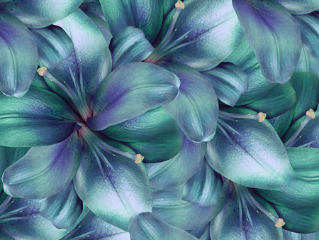 リリー ターコイズ ブルー花 明るいターコイズ ブルーの背景 花のコラージュ 花の組成物 自然 の写真素材 画像素材 Image