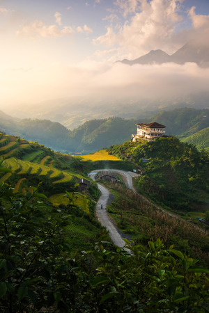 The landscape of Saigon: Ruộng lúa trên ruộng bậc thang trong hoàng hôn ở Sapa, Lào Cai, Việt Nam. Ruộng lúa chuẩn bị thu hoạch ở vùng Tây Bắc Việt Nam
