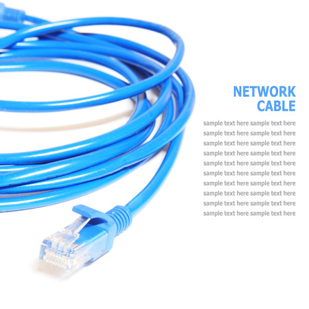 Network cable gay