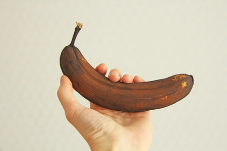 Black spoiled banana in hand. a hand is holding a rotten black or brown banana fruit. a rotten banana. single spoiled black banana. copy space for your text. trendy spoiled organic fruits - image.