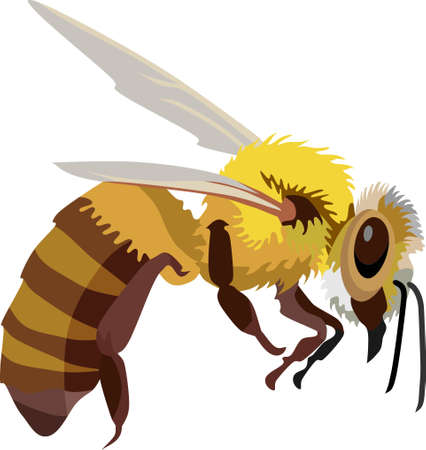 Buzzing Fly Stock Vector Illustration and Royalty Free Buzzing Fly Clipart