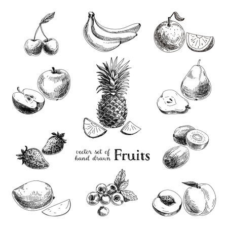 banana: Vector đặt tay vẽ hoa quả nho và quả mọng. minh họa retro.