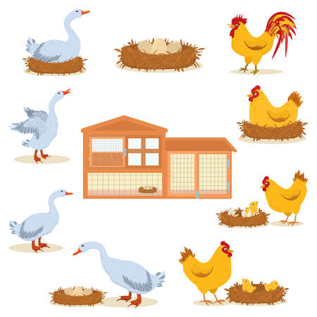 13 262 赤ちゃんの鳥のひよこ のイラスト素材 ベクター 123rf 13 262 赤ちゃんの鳥のひよこ のイラスト素材 ベクター 123rf