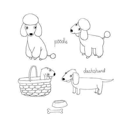 かわいいダックスフントと異なる姿勢でプードル イラストのセットです 装飾とデザインのための犬の肖像画 手図面の孤立したオブジェクト ベクトルの図 かごの中の子犬 石とボウル のイラスト素材 ベクタ Image かわいいダックスフントと異なる姿勢でプードル イラストのセットです 装飾とデザインのための犬の肖像画 手図面の孤立したオブジェクト ベクトルの図 かごの中の子犬 石とボウル のイラスト素材 ベクタ Image