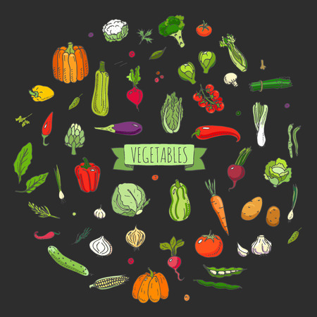 手描き落書き野菜アイコンのベクター イラスト季節野菜シンボル コレクション漫画各種野菜野菜の様々 な種類の設定白い背景スケッチ風のスタイルのイラスト素材 ベクタ Image