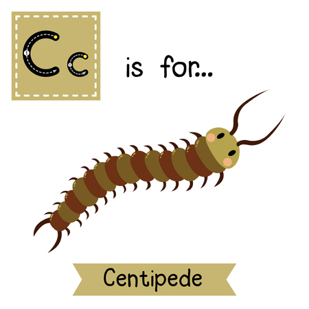 かわいい子供たち Abc アルファベット C 文字トレース フラッシュ カードお菓子のバレンタインデーをテーマに英語の語彙を学ぶ子供のため のイラスト素材 ベクタ Image かわいい子供たち Abc アルファベット C 文字トレース フラッシュ カードお菓子のバレンタインデーをテーマに英語の語彙を学ぶ子供のため のイラスト素材 ベクタ Image