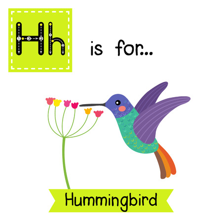 U 文字のトレース 鶯鳥うぐいす かわいい子供動物園アルファベット フラッシュ カード 面白い漫画の動物 Abc 教育を子供たちには 英語の語彙を学習します イラスト のイラスト素材 ベクタ Image