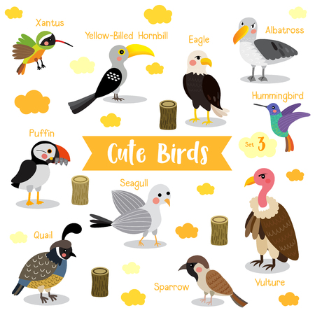 動物の名前で白い背景にかわいい鳥の動物漫画 イーグル ハゲタカ すずめ カモメ パフィン ウズラ ハチドリ アルバトロス Xantus 黄色請求サイチョウ のイラスト素材 ベクタ Image 動物の名前で白い背景にかわいい鳥の動物漫画 イーグル ハゲタカ すずめ カモメ パフィン ウズラ ハチドリ アルバトロス Xantus 黄色請求サイチョウ のイラスト素材 ベクタ Image