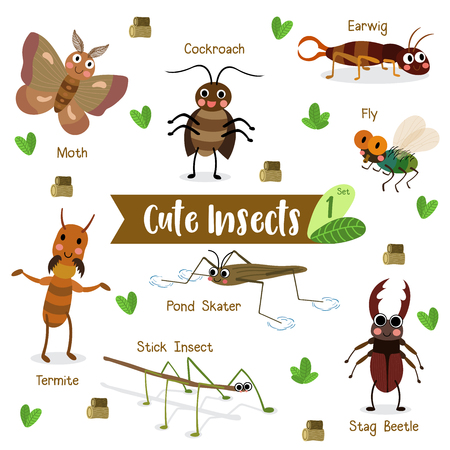 動物の名前で白い背景にかわいい昆虫動物漫画 飛ぶ ゴキブリ アメンボ ナナフシ 蛾 シロアリ ハサミムシ クワガタ カブトムシ のイラスト素材 ベクタ Image 66849453