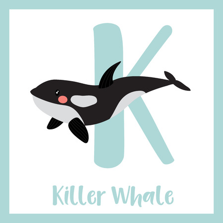 手紙 K のイラストは シャチのアルファベットです 白い背景で動物教育と英語の Abc のイラスト素材 ベクタ Image 手紙 K のイラストは シャチのアルファベットです 白い背景で動物教育と英語の Abc のイラスト素材 ベクタ Image