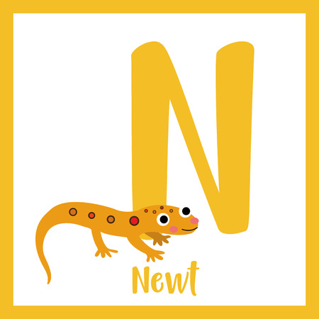 N 文字語彙 東赤は新しい発見します かわいい子供たち Abc 動物園アルファベット フラッシュ カード 面白い漫画の動物 Abc 教育を子供たちには 英語の語彙を学習します ベクトルの図 のイラスト素材 ベクタ Image