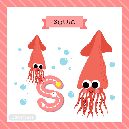 アルファベット フラッシュ カード S は イカ のイラスト素材 ベクタ Image アルファベット フラッシュ カード S は イカ のイラスト素材 ベクタ Image