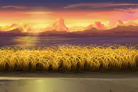 Sunset landscape vector: Sunset, vector lĩnh vực minh họa phong cảnh