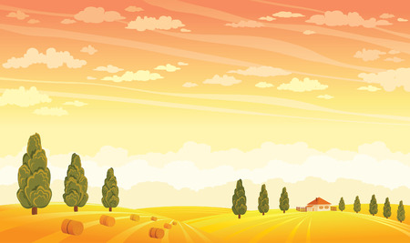 Sunset landscape vector: Mùa hè phong cảnh nông thôn với lĩnh vực vàng và cây xanh trên nền hoàng hôn trên bầu trời. Vector chất minh họa. Hình minh hoạ