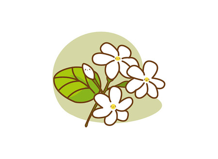 Vector cartoon jasmine on white background