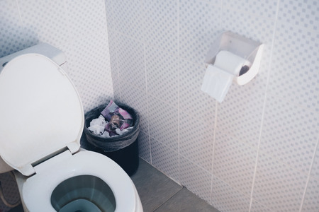 Bathroom Interior With Flush Toilet And Bin And Toilet Paper Awesome Bathroom Paper Bathroom Interior With Flush Toilet And Bin And Toilet Paper Awesome Bathroom Paper
