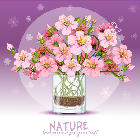 Peach flower: Background with cherry blossom in a glass