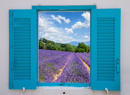 provence window with lavender flowers field, France
