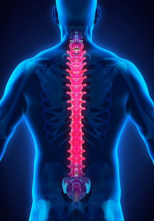 the horror of spinal injuries in humans the horror of spinal injuries in humans