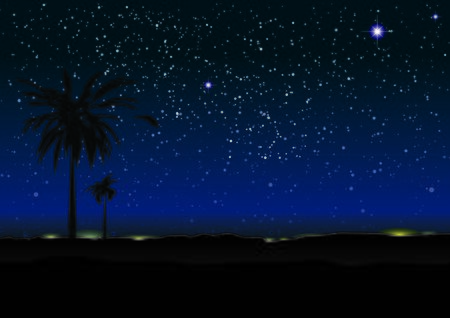 星とシルエットのヤシの木夜の空のイラスト素材 ベクタ Image