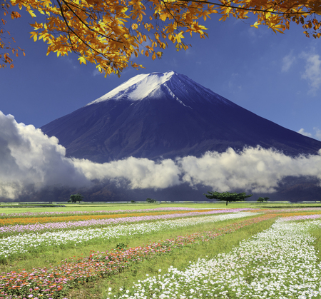 非常にいい色と背景の美しい風景の画像 の写真素材 画像素材 Image