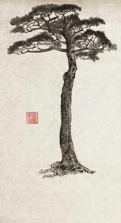 松の木の中国の水墨画の写真素材・画像素材 Image 81613266