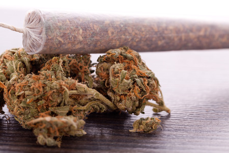 cannabiol stock photos royalty free cannabiol images