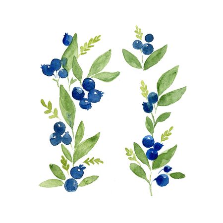 パーム入り水彩葉し ブラシで文字の分離 白手描き自然が値下がりしました の写真素材 画像素材 Image