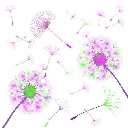abstract background of a dandelion for design the wind blows