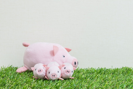 クローズ アップかわいいピンクの豚の人形と人工芝とクリーム色の壁紙の壁に 3 つの子豚テクスチャ コピー領域と背景 の写真素材 画像素材 Image クローズ アップかわいいピンクの豚の人形と人工芝とクリーム色の壁紙の壁に 3 つの子豚テクスチャ コピー領域と背景 の写真素材 画像素材 Image