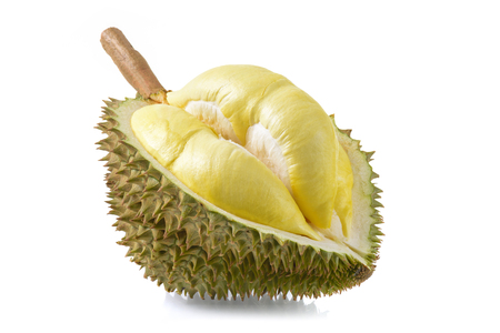 Durian: sầu riêng vàng ở phía Mon Thong trái sầu riêng trên nền trắng Kho ảnh