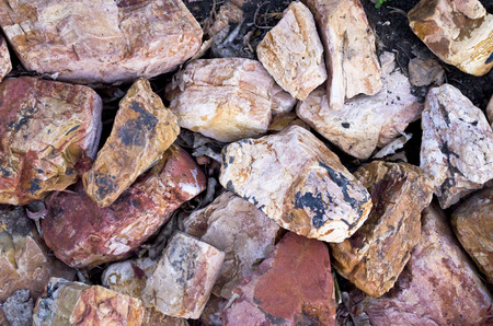 Large Decorative Rocks And Stones Stock Photo Picture And Royalty