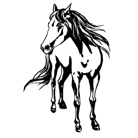 かわいい馬の肖像画 インクたてがみと尾 風の流れる美しい純血種の馬のイラストを描いた平面図します 競馬や馬術競技のデザインのベクトル イラスト の イラスト素材 ベクタ Image 74051841