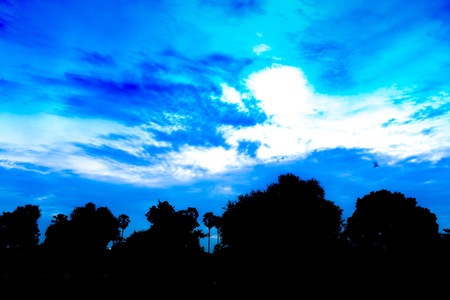 風景と日光のイメージシルエットのスタイルのための壁紙や背景を使用して自然の中で森の背景に青空と木の後ろに太陽 の写真素材 画像素材 Image